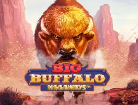 game logo by Skywind Group on stakeprix-be.com