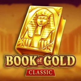 game logo by Playson on stakeprix-be.com
