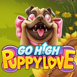 game logo by RubyPlay on stakeprix-be.com